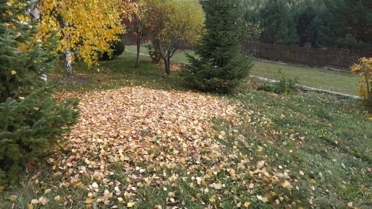 https://bratsk.mslandshaft.ru/storage/app/uploads/public/642/ac5/f22/642ac5f2293e2935715739.jpg